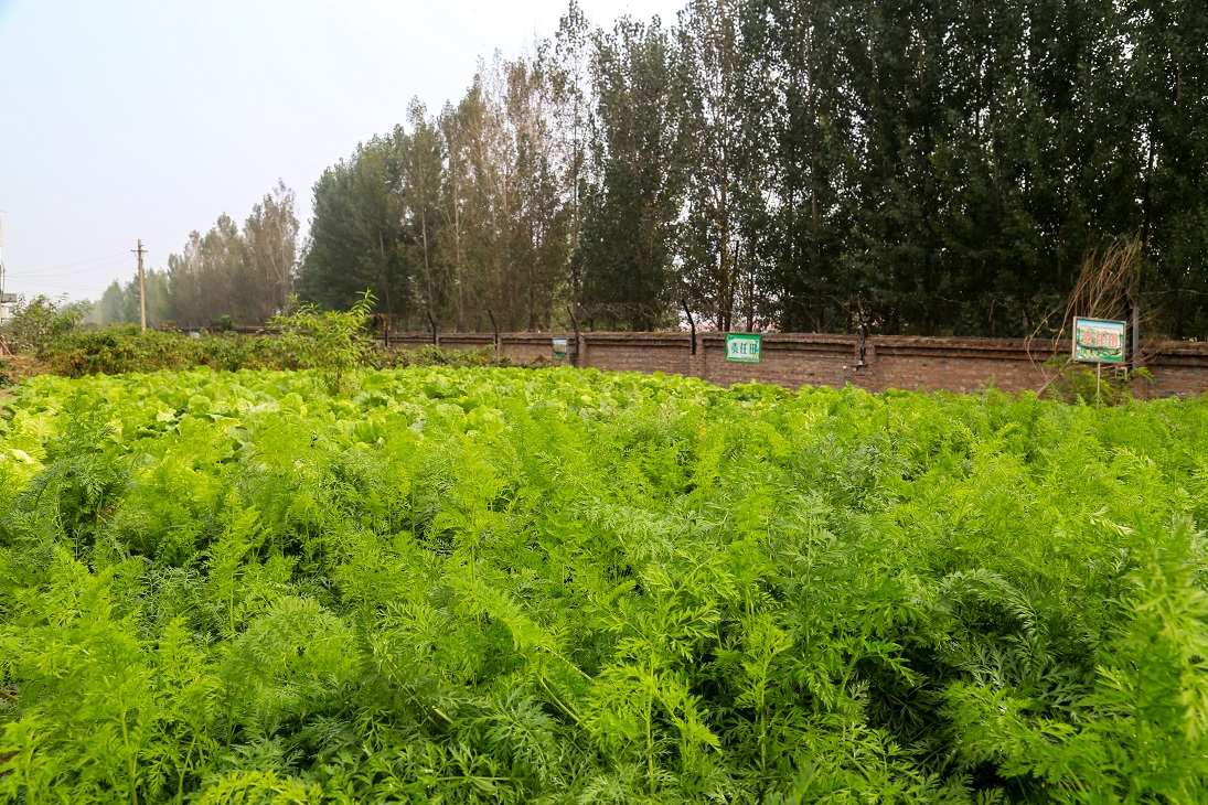 �S(ch��ng)�^(q��)�G��